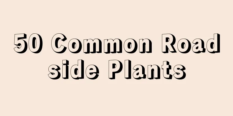 50 Common Roadside Plants