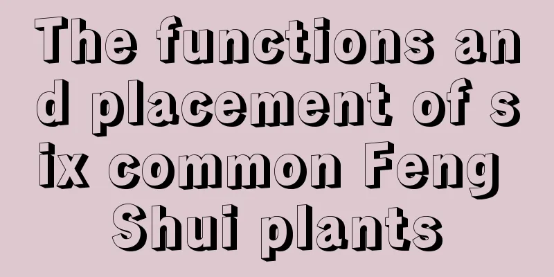 The functions and placement of six common Feng Shui plants