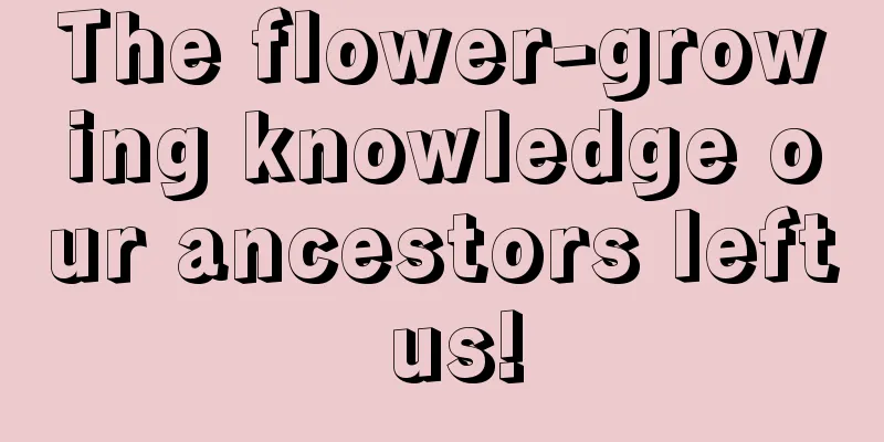 The flower-growing knowledge our ancestors left us!