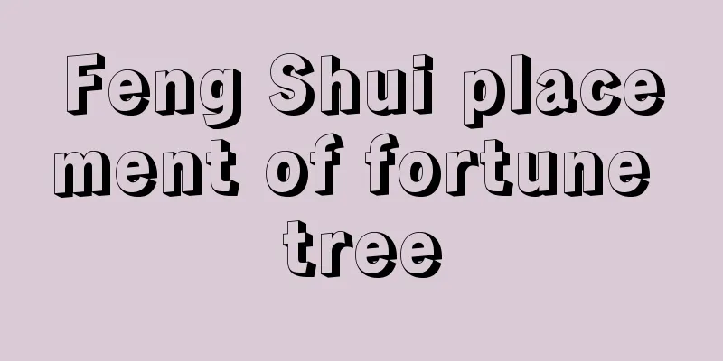 Feng Shui placement of fortune tree