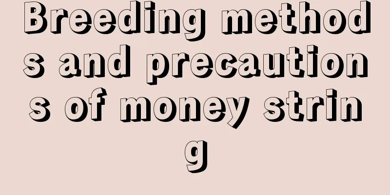 Breeding methods and precautions of money string