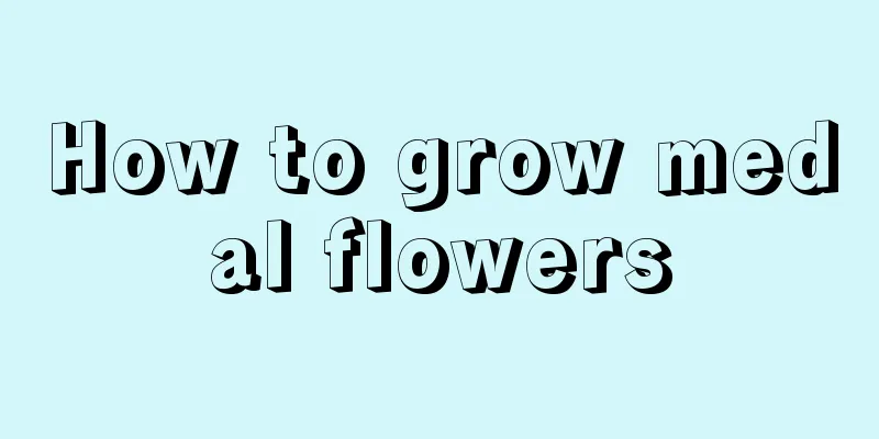 How to grow medal flowers