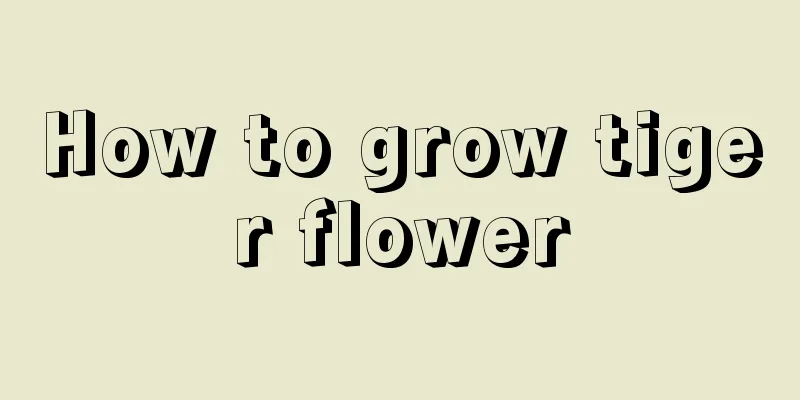 How to grow tiger flower