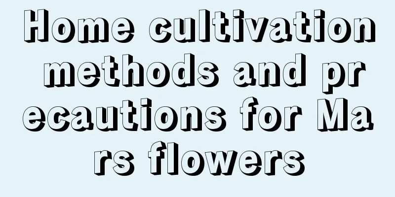 Home cultivation methods and precautions for Mars flowers