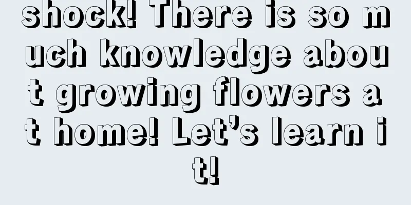 shock! There is so much knowledge about growing flowers at home! Let’s learn it!