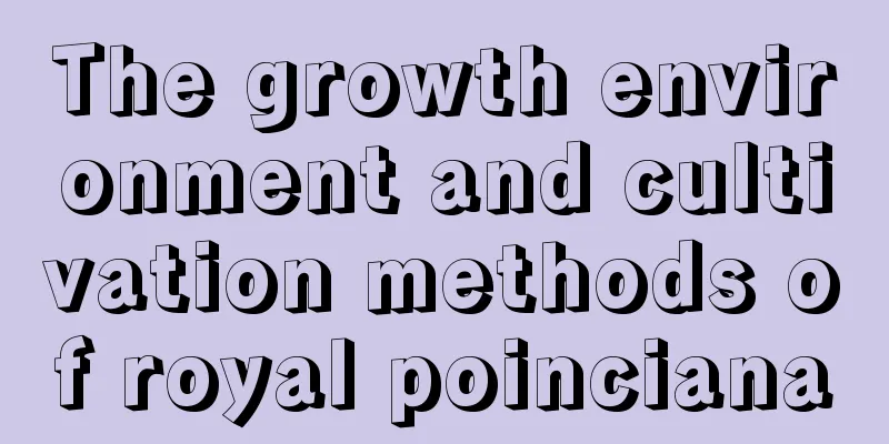 The growth environment and cultivation methods of royal poinciana