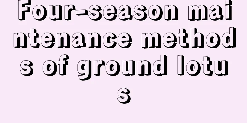 Four-season maintenance methods of ground lotus