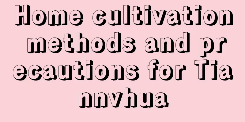 Home cultivation methods and precautions for Tiannvhua