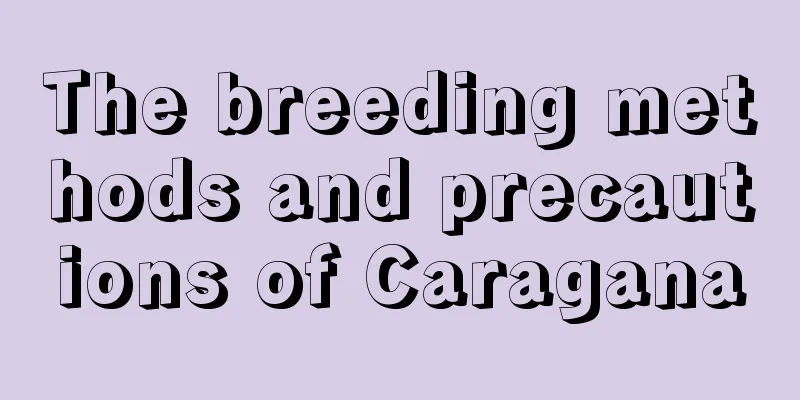 The breeding methods and precautions of Caragana