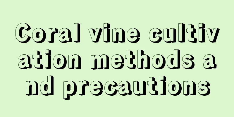 Coral vine cultivation methods and precautions