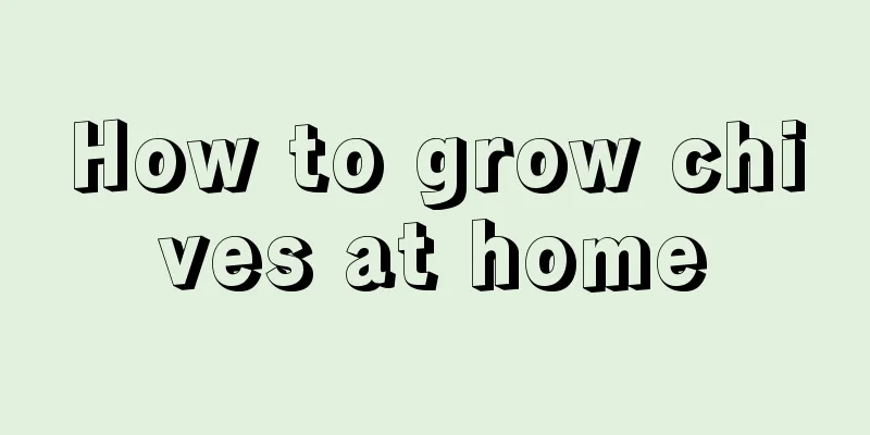 How to grow chives at home