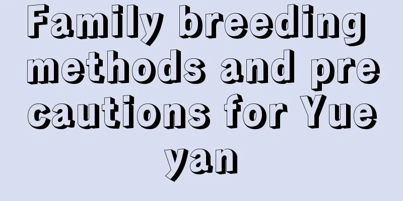 Family breeding methods and precautions for Yueyan