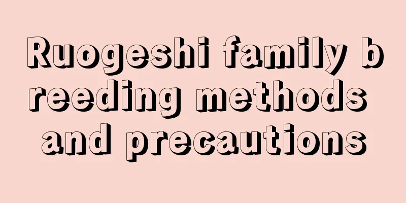 Ruogeshi family breeding methods and precautions