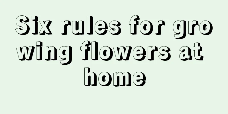 Six rules for growing flowers at home