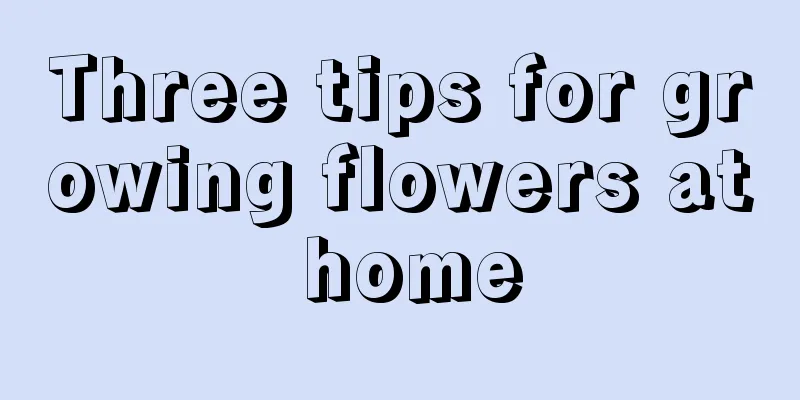 Three tips for growing flowers at home