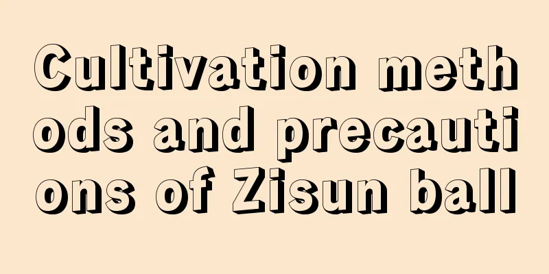 Cultivation methods and precautions of Zisun ball