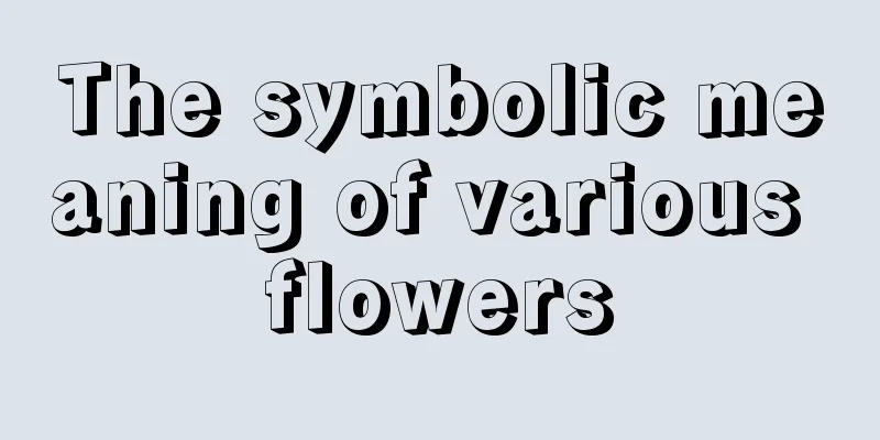 The symbolic meaning of various flowers