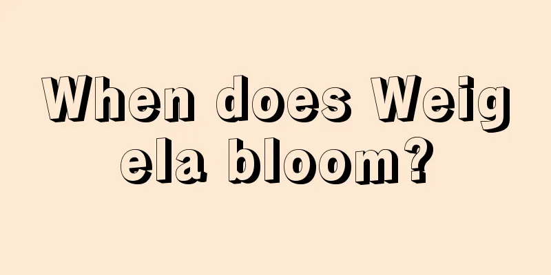 When does Weigela bloom?