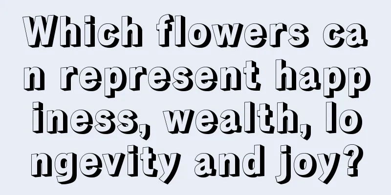 Which flowers can represent happiness, wealth, longevity and joy?