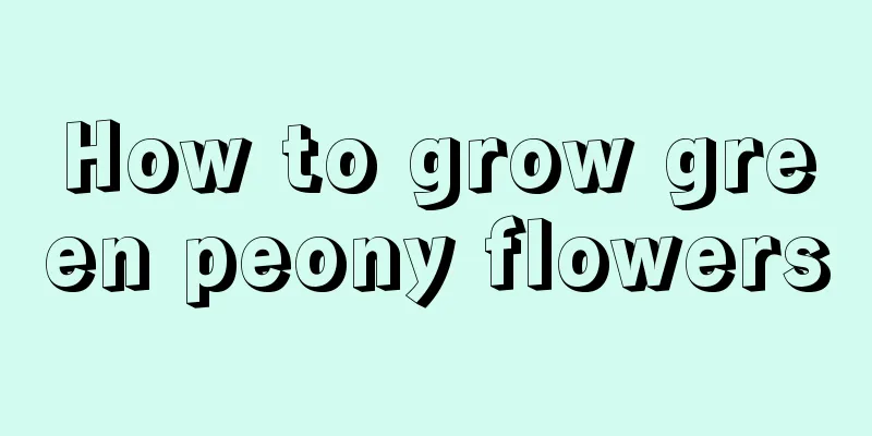 How to grow green peony flowers