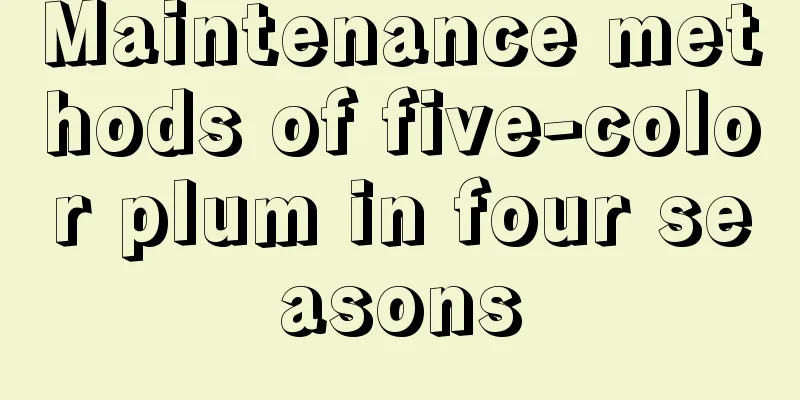 Maintenance methods of five-color plum in four seasons