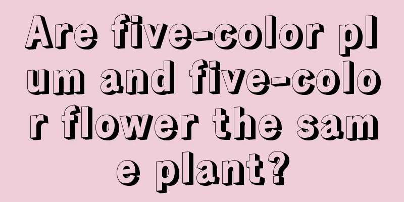 Are five-color plum and five-color flower the same plant?