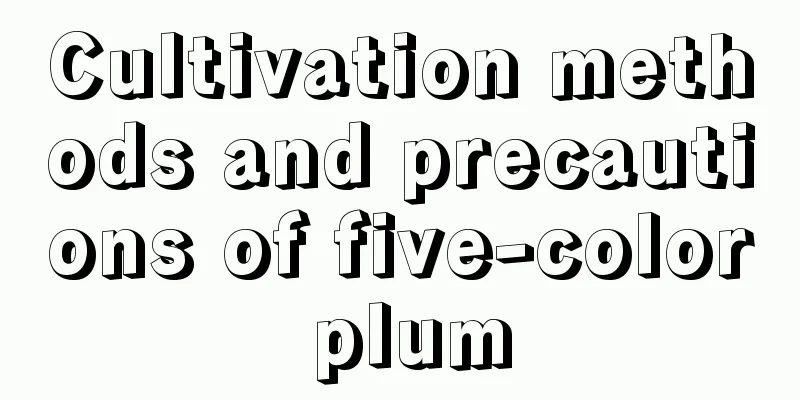 Cultivation methods and precautions of five-color plum