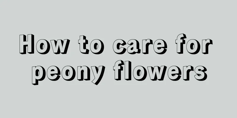 How to care for peony flowers