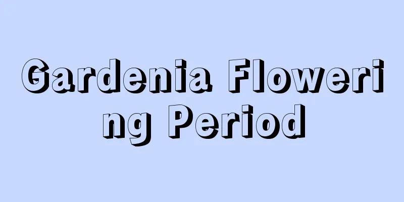 Gardenia Flowering Period