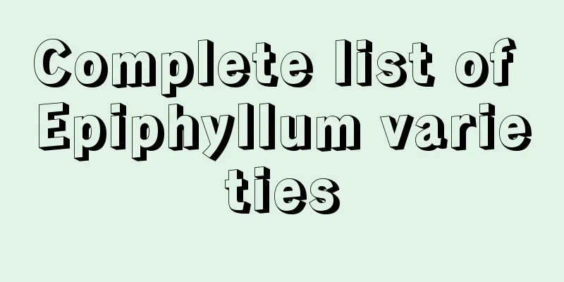 Complete list of Epiphyllum varieties