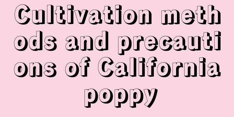 Cultivation methods and precautions of California poppy