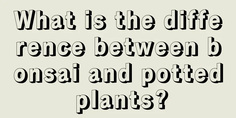 What is the difference between bonsai and potted plants?