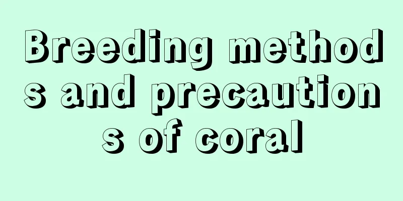 Breeding methods and precautions of coral