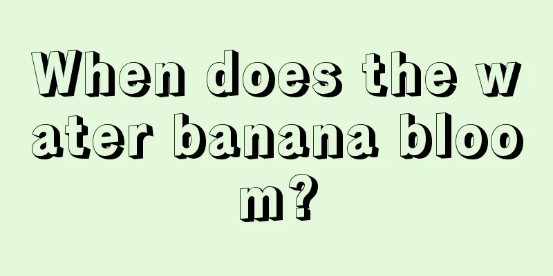 When does the water banana bloom?