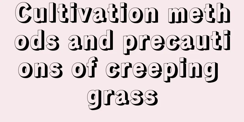 Cultivation methods and precautions of creeping grass