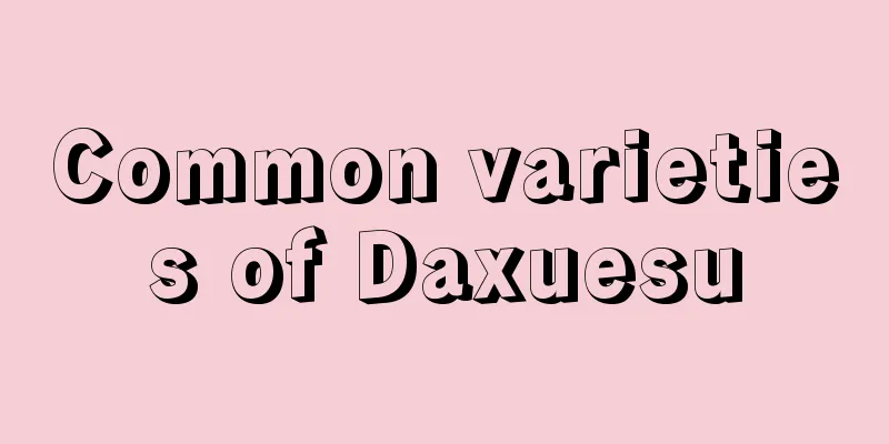 Common varieties of Daxuesu