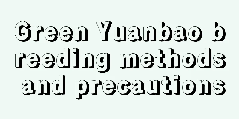 Green Yuanbao breeding methods and precautions