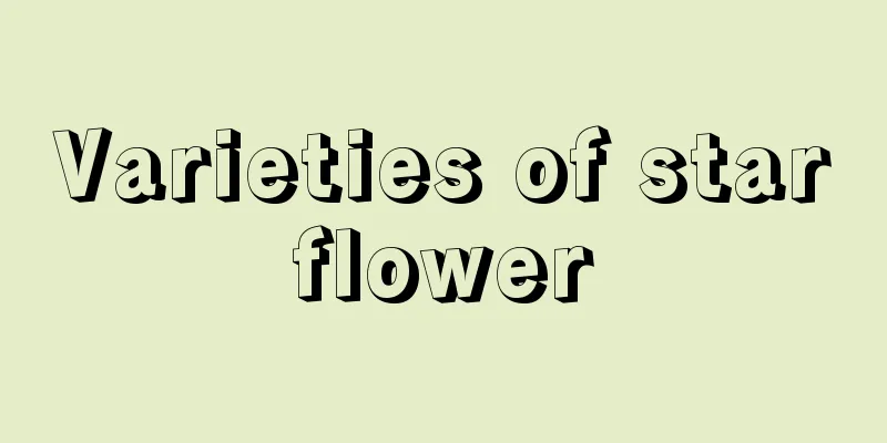 Varieties of starflower