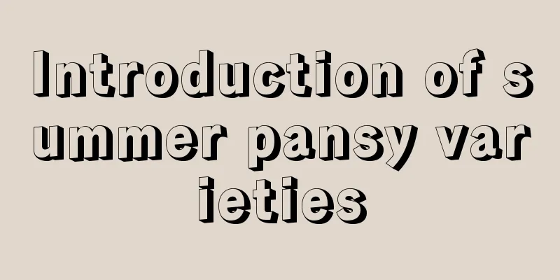 Introduction of summer pansy varieties