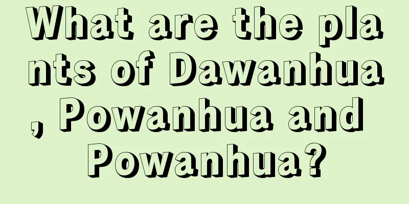 What are the plants of Dawanhua, Powanhua and Powanhua?