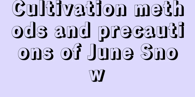 Cultivation methods and precautions of June Snow