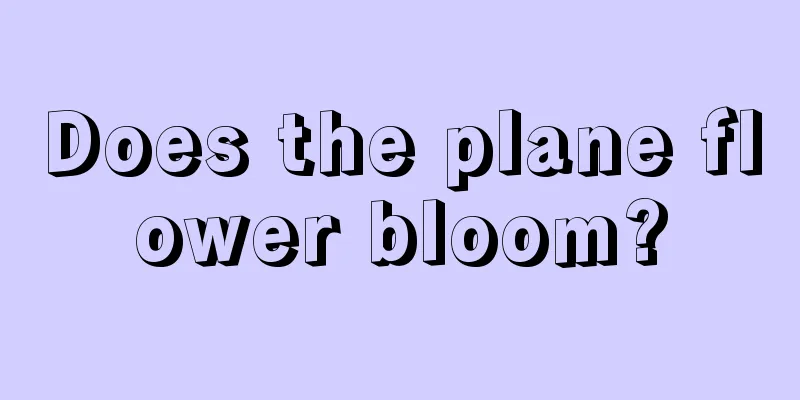 Does the plane flower bloom?