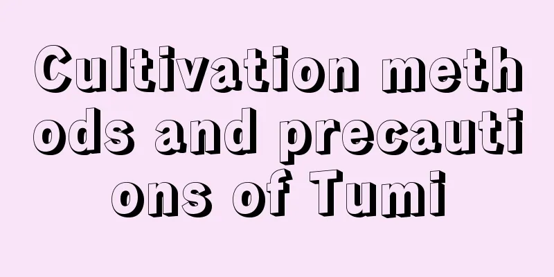 Cultivation methods and precautions of Tumi