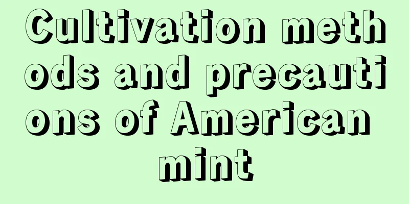 Cultivation methods and precautions of American mint