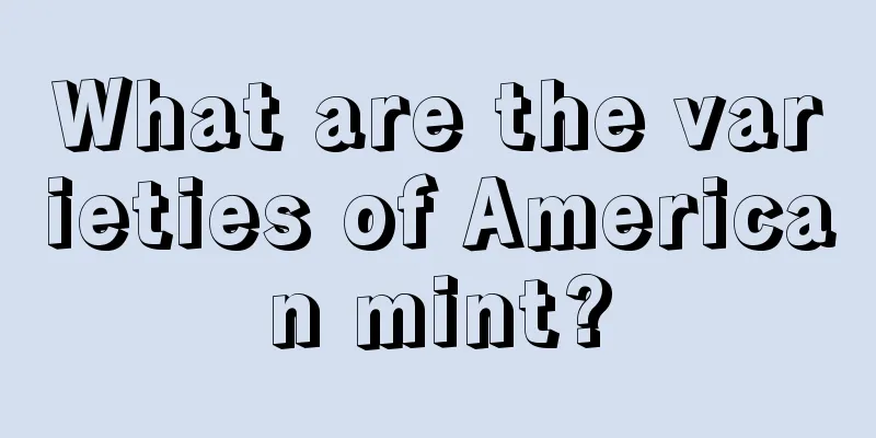 What are the varieties of American mint?