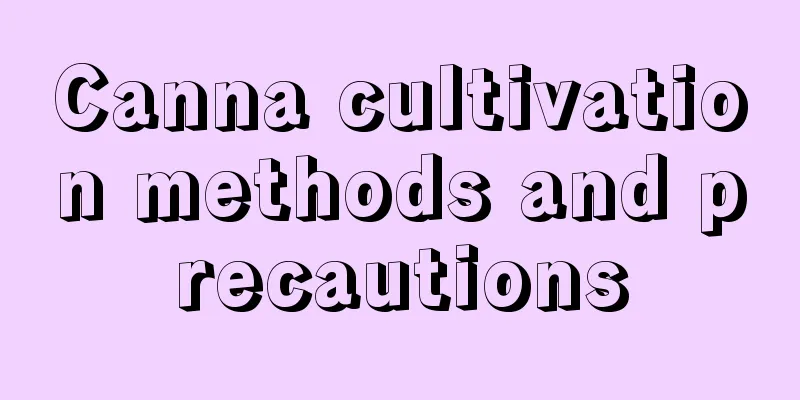 Canna cultivation methods and precautions