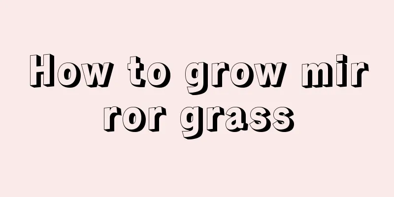 How to grow mirror grass