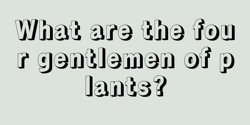 What are the four gentlemen of plants?