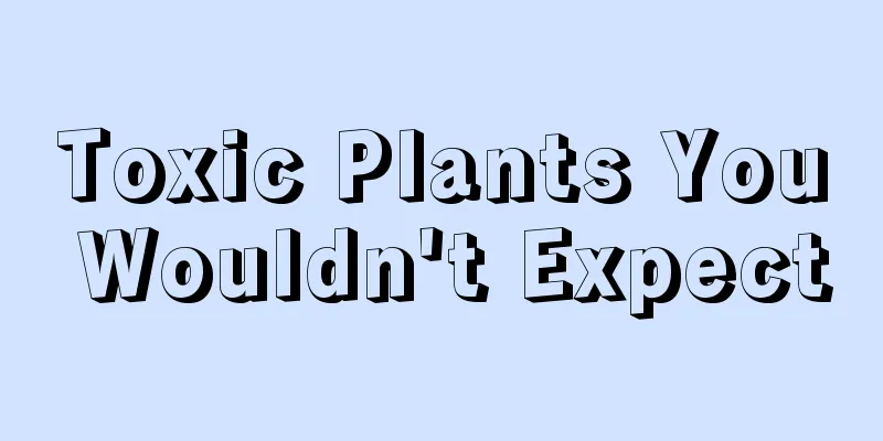 Toxic Plants You Wouldn't Expect