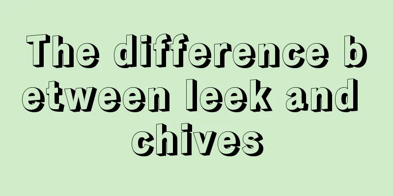 The difference between leek and chives